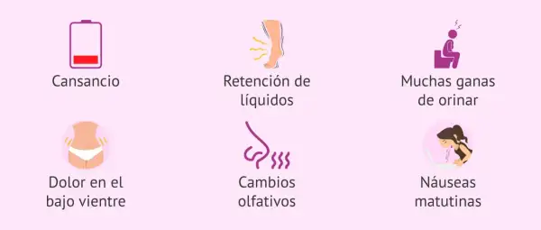 Síntomas comunes de 4 semanas de embarazo: cansancio, retención de líquidos, ganas de orinar, dolor bajo vientre, cambios olfativos y náuseas matutinas.